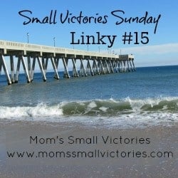 small-victories-sunday-linky-15