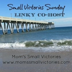 small victories sunday linky co-host