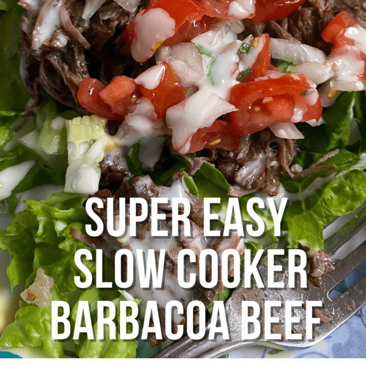 Slow Cooker Barbacoa Beef