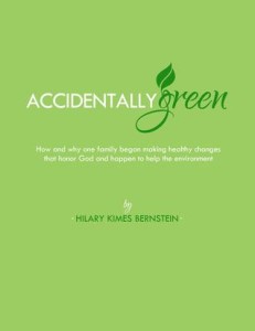 Accidentally Green by Hilary Kimes Bernstein Book Review