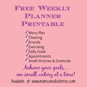 MSV free weekly planner printable