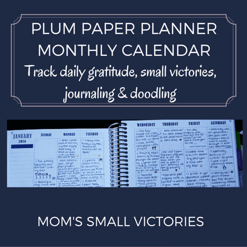 Plum Paper Planner Monthly Calendar. I use mine to track daily gratitude, small victories and a little doodling.