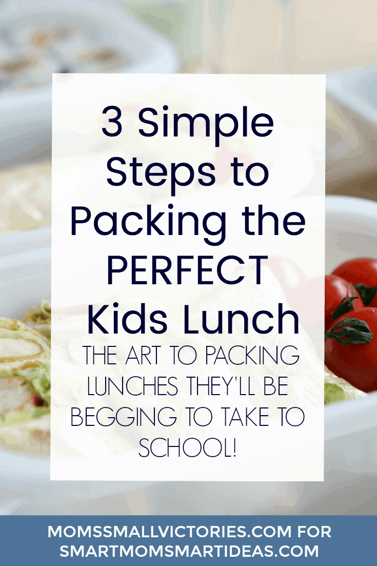 3 Simple Steps for Packing the Perfect Kids Lunch....the art to packing lunches they'll be begging to take to school. Break out of the boring sandwich box and grab some easy, new ideas to give your kids healthy, delicious lunches they will love to take to school.
