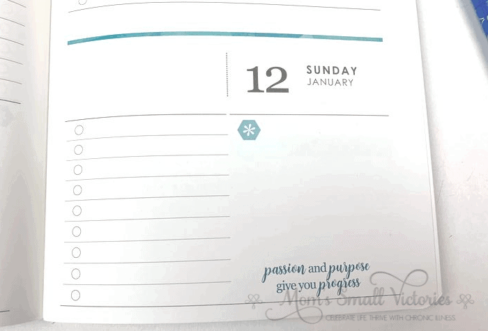 Erin Condren Daily Planner Review. There are some mini quotes on some of the Sundays! 